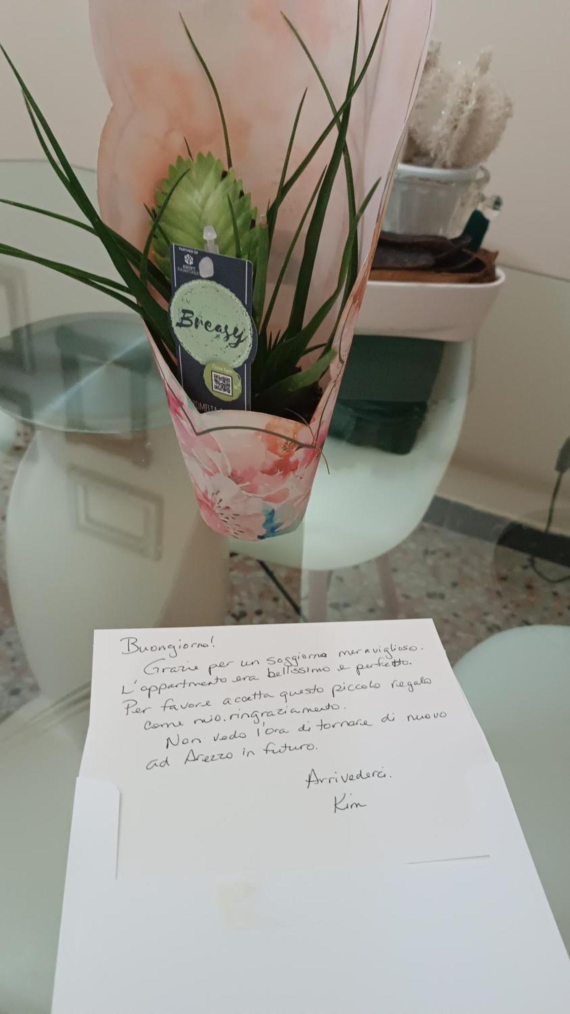 Suite Mariasole Arezzo Buitenkant foto